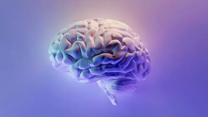 成為資深球迷必備的4大觀賽指南 - 世界杯报道 赛程